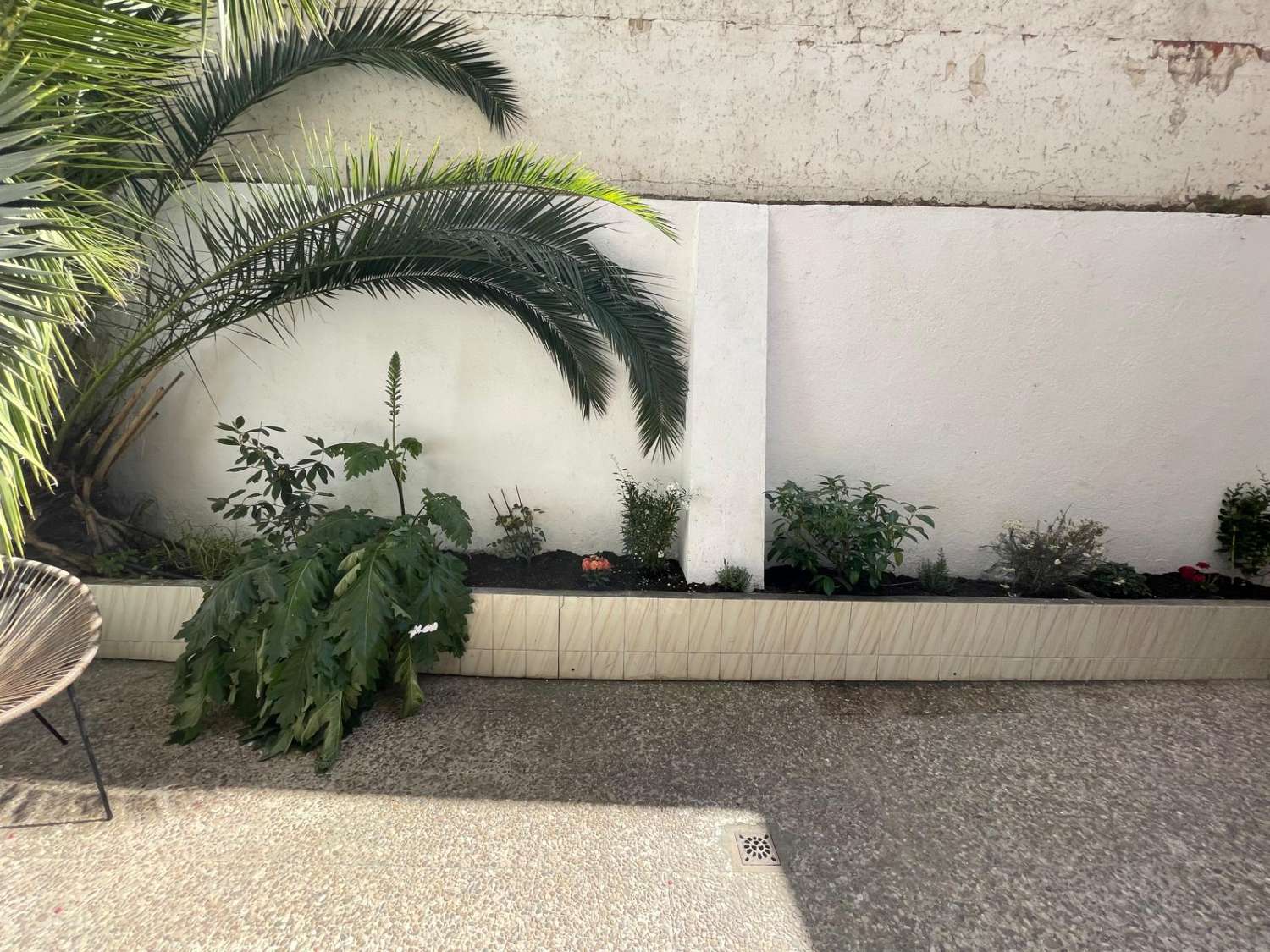 Flat for rent in Centro (Madrid)