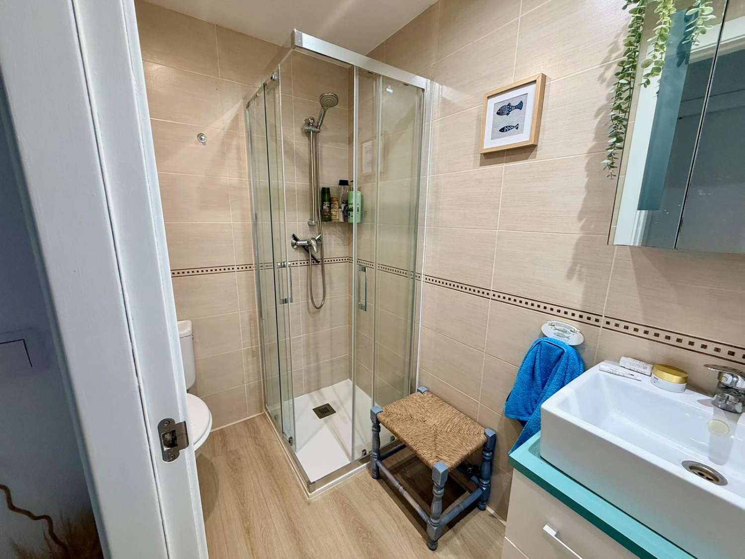 APARTAMENTO PRIMERA LINEA DE PLAYA OROPESA