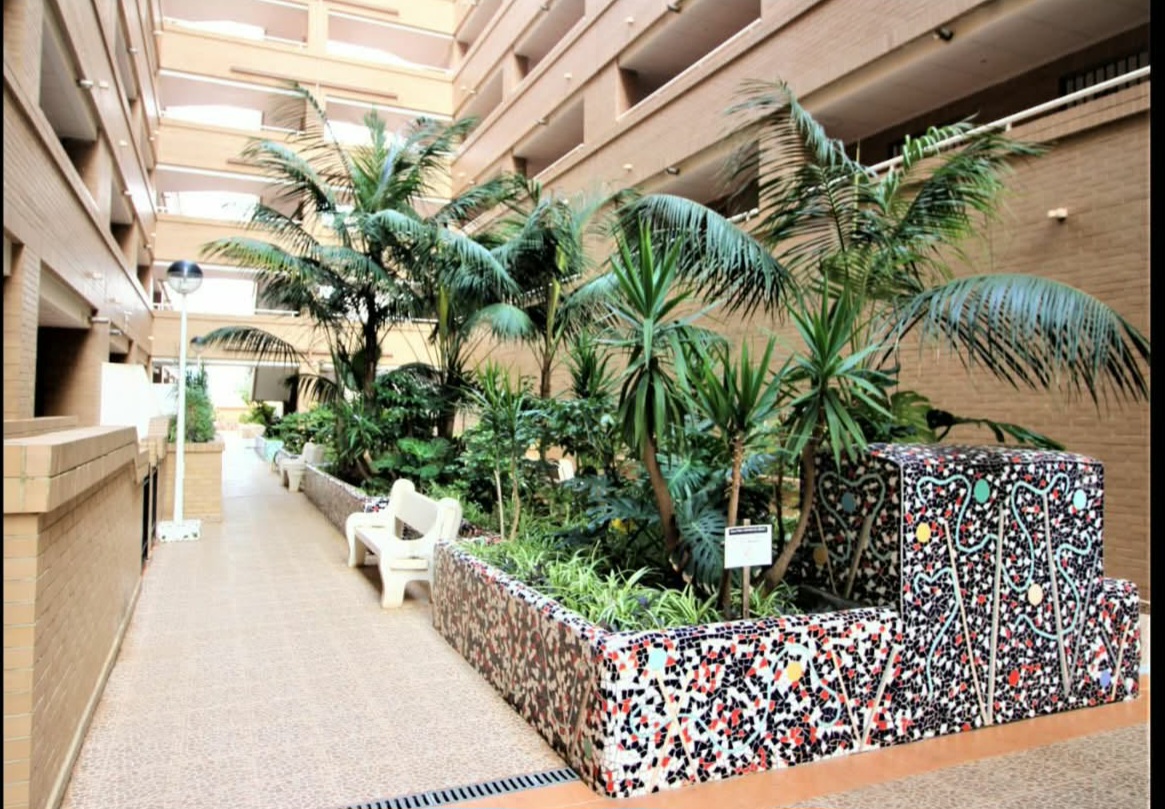 APARTAMENTO 2 LINEA OROPESA