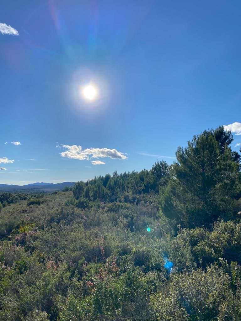 Building area for sale in Les Coves de Vinromà