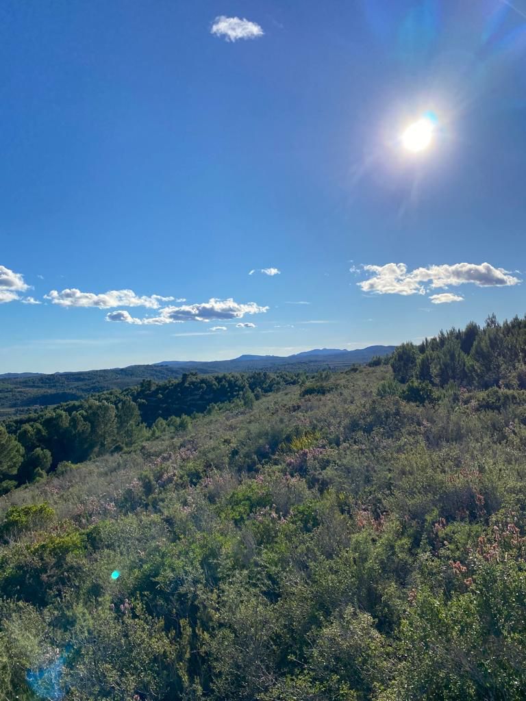 Building area for sale in Les Coves de Vinromà