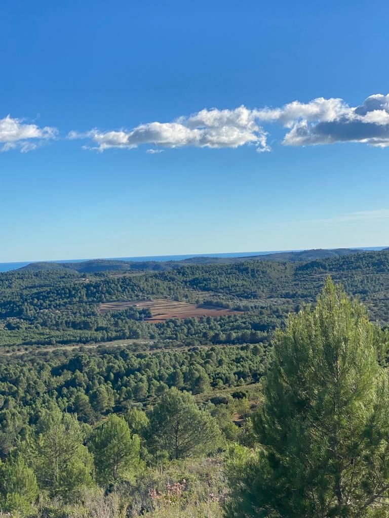 Building area for sale in Les Coves de Vinromà