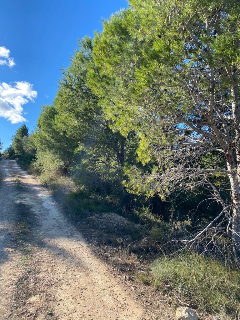Building area for sale in Les Coves de Vinromà