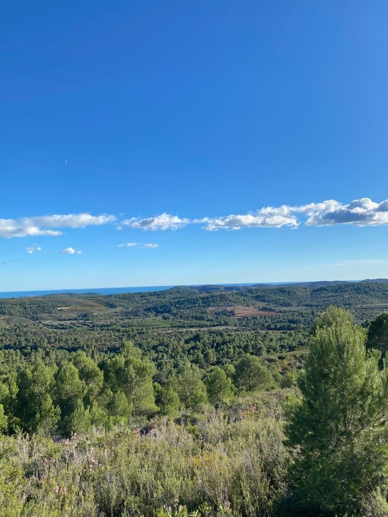 Building area for sale in Les Coves de Vinromà