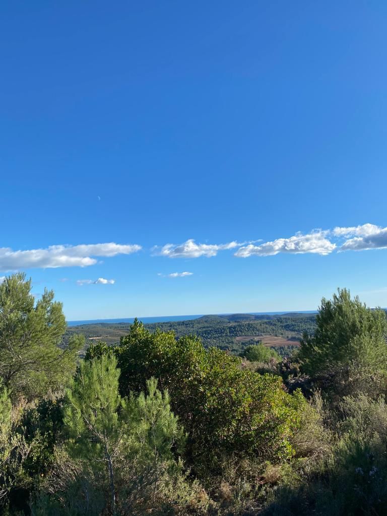 Building area for sale in Les Coves de Vinromà