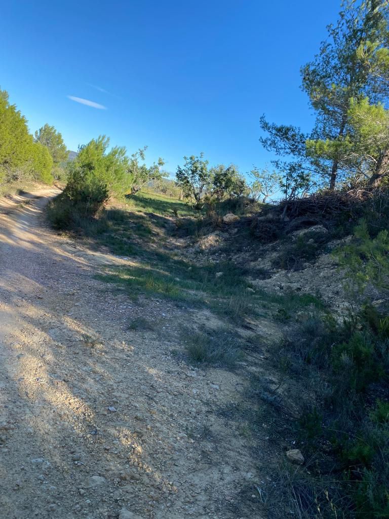 Building area for sale in Les Coves de Vinromà