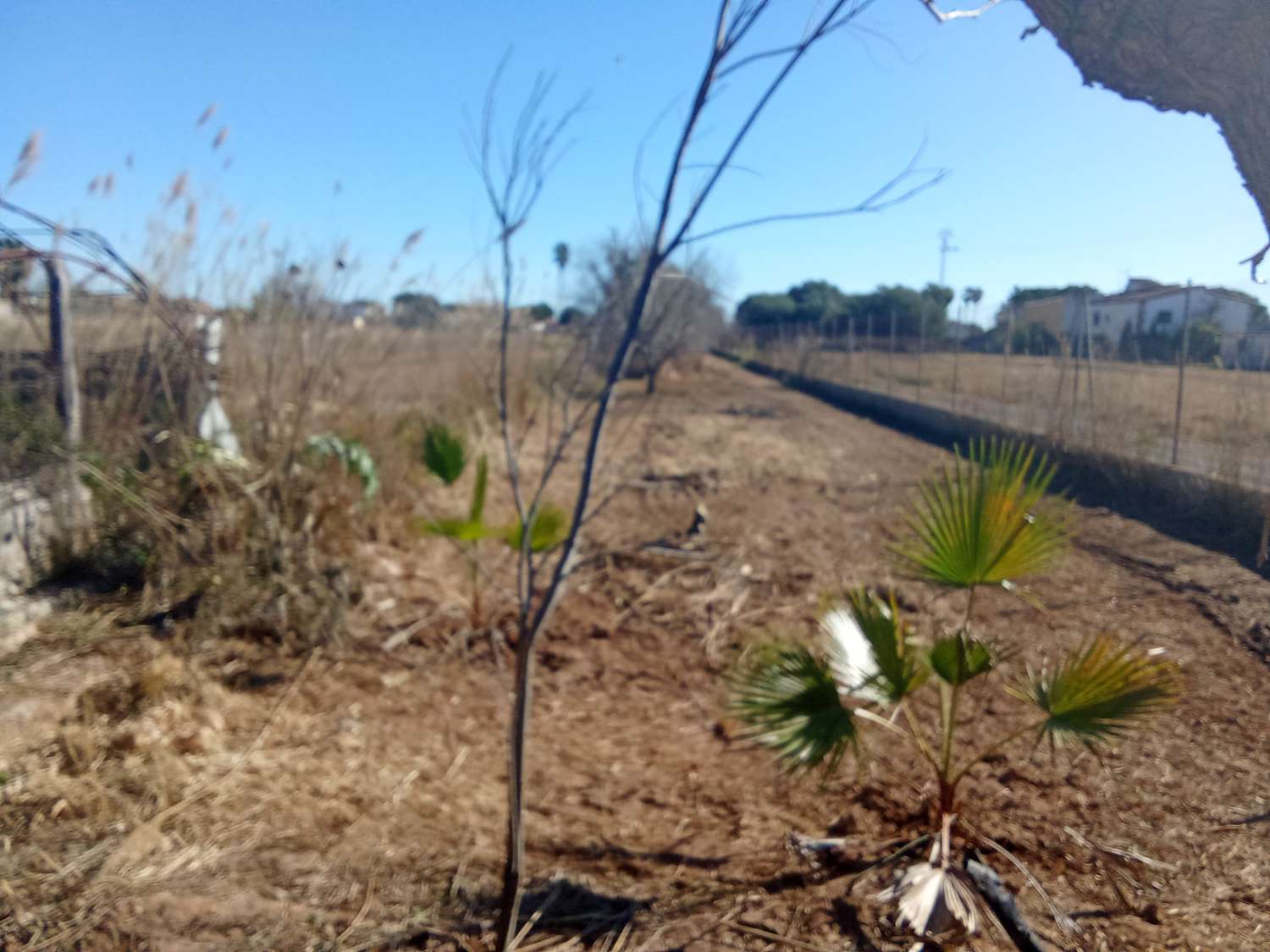 屋 出售 在 El Grao (Castellón de la Plana)