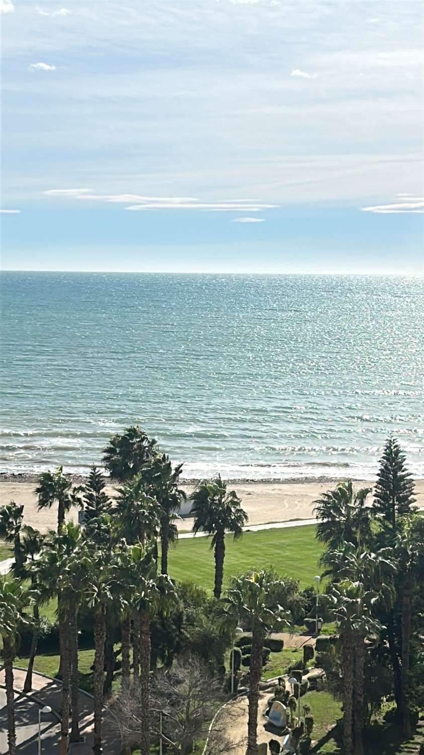 APARTAMENTO PRIMERA LINEA DE PLAYA OROPESA