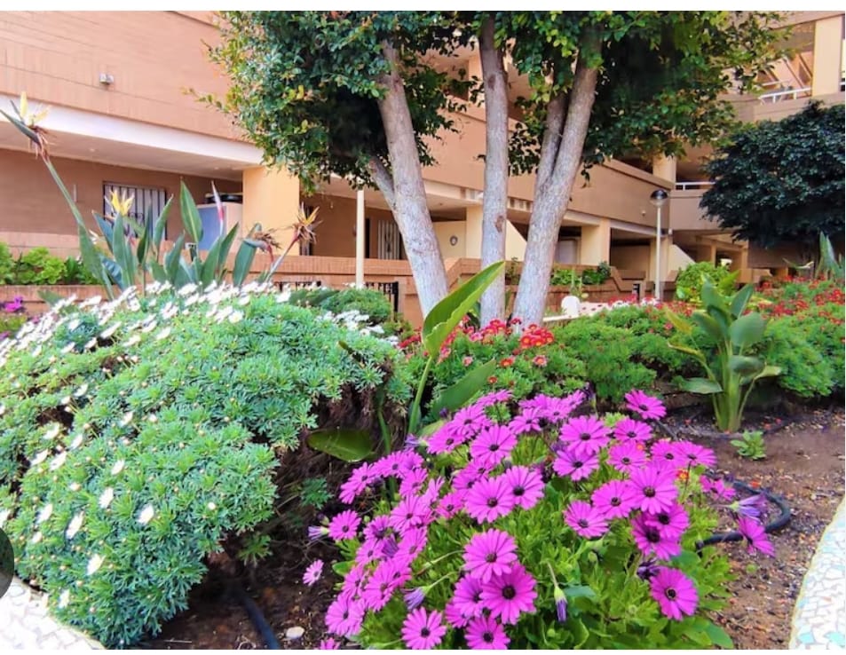 квартира в продаже в Costa Caribe (Oropesa del Mar)