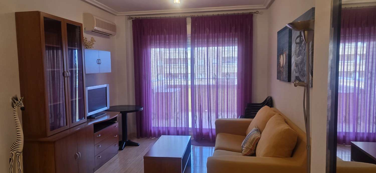APARTAMENTOS EN OROPESA