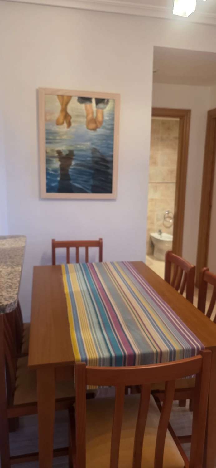 APARTAMENTOS EN OROPESA