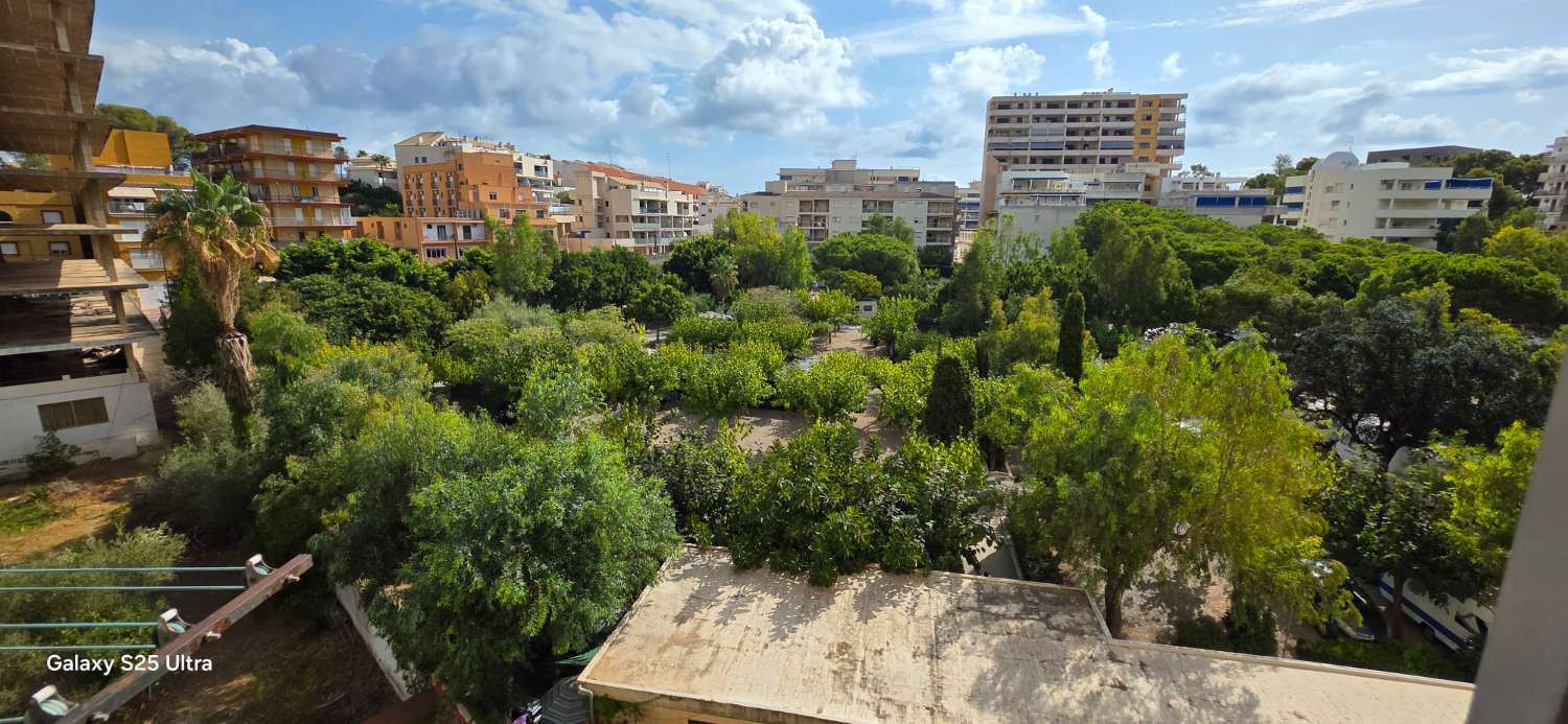 APARTAMENTO EN PRIMERA LINEA DE PLAYA DE LA CONCHA