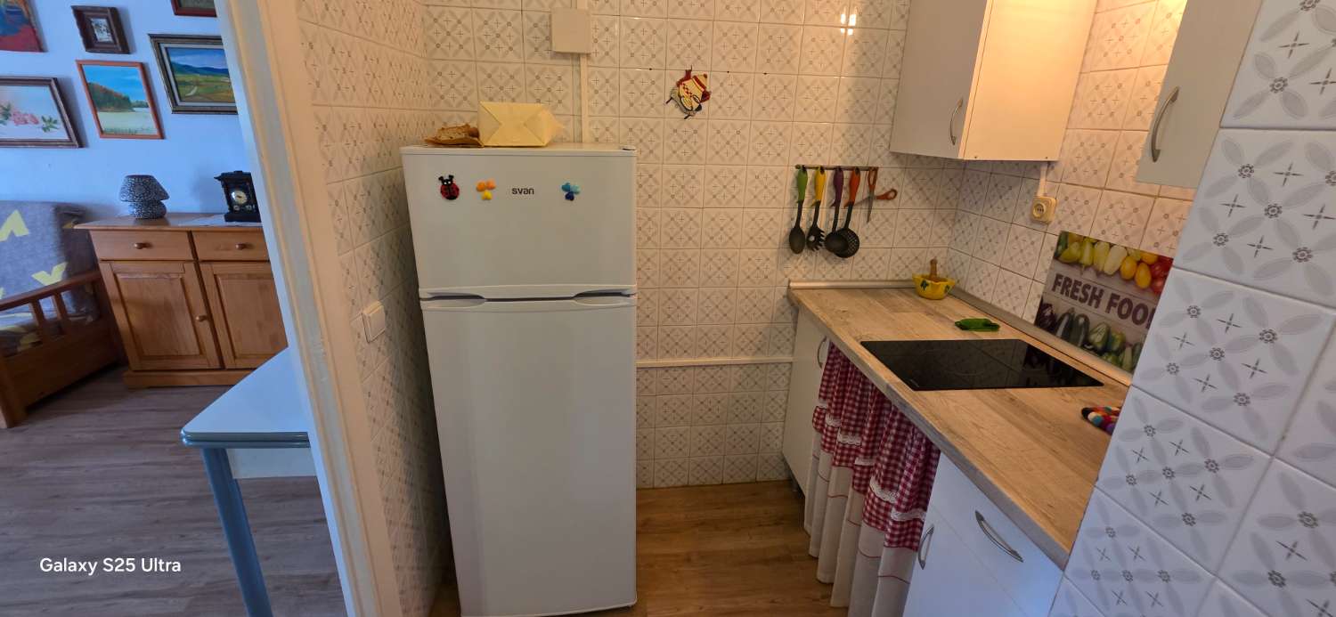 APARTAMENTO EN PRIMERA LINEA DE PLAYA DE LA CONCHA