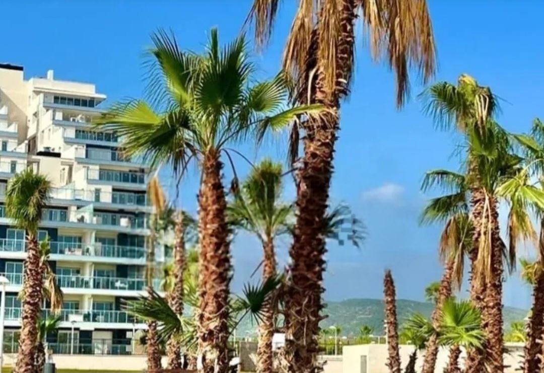 APARTAMENTO PRIMERA LINEA DE PLAYA CABANES