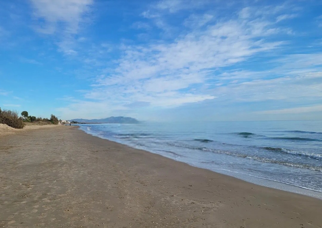 APARTAMENTO PRIMERA LINEA DE PLAYA CABANES